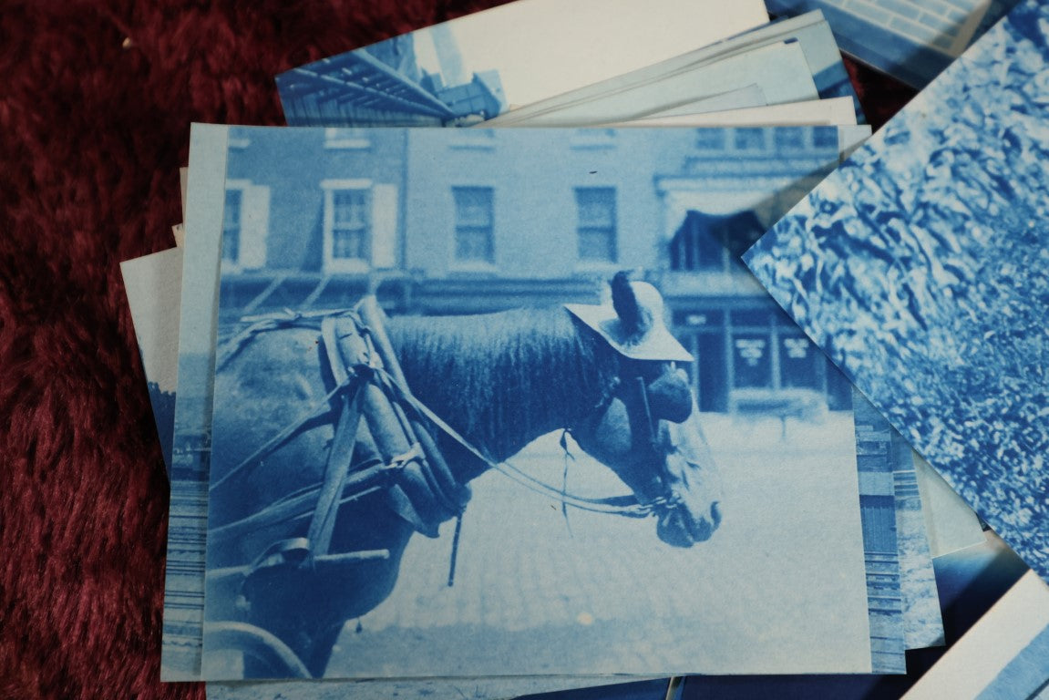 Lot 047 - Massive Grouping Of Antique Cyanotype Photographs, Circa 1895 - 1905, Many Of Washington D.C., Landmarks, Interiors, Portraits, Architecture - Over 125 Pieces