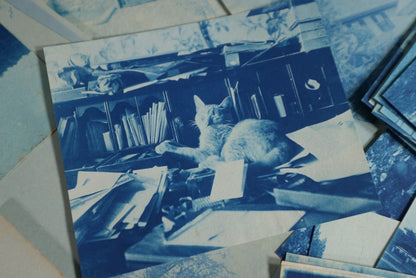 8/15/2024 AUCTION PHOTO GALLERY