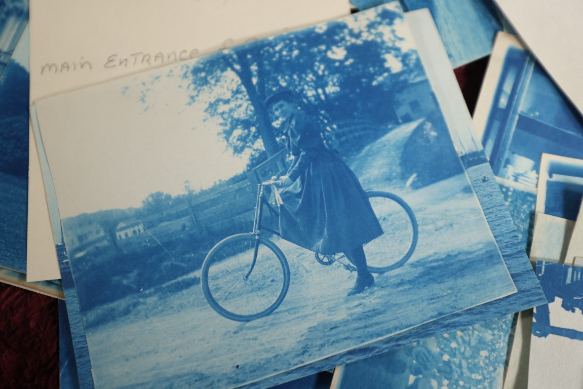 8/15/2024 AUCTION PHOTO GALLERY