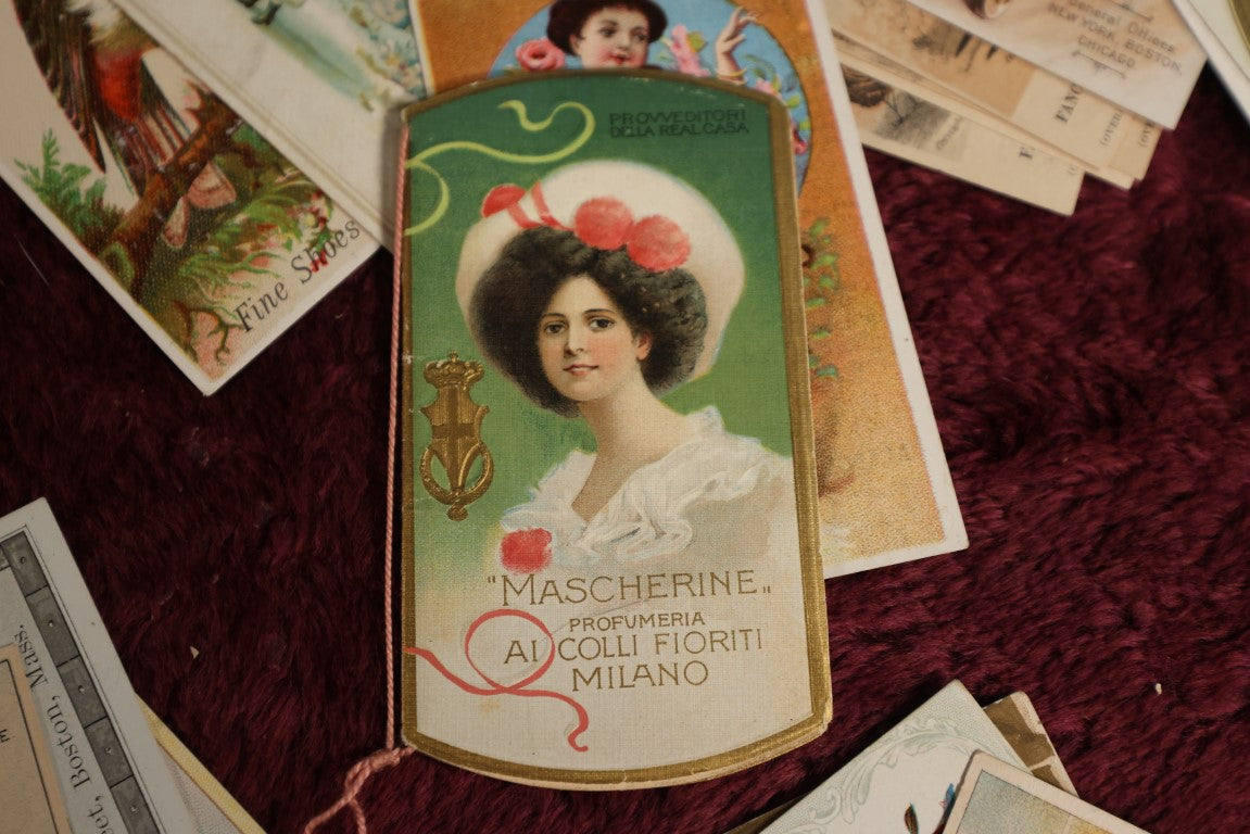 8/15/2024 AUCTION PHOTO GALLERY