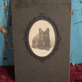 Lot 075 - Small Antique Boarded Photo, Cabinet Card Size, Of Black Cat, E.D. Putnam Photographer, Antrim, New Hampshire