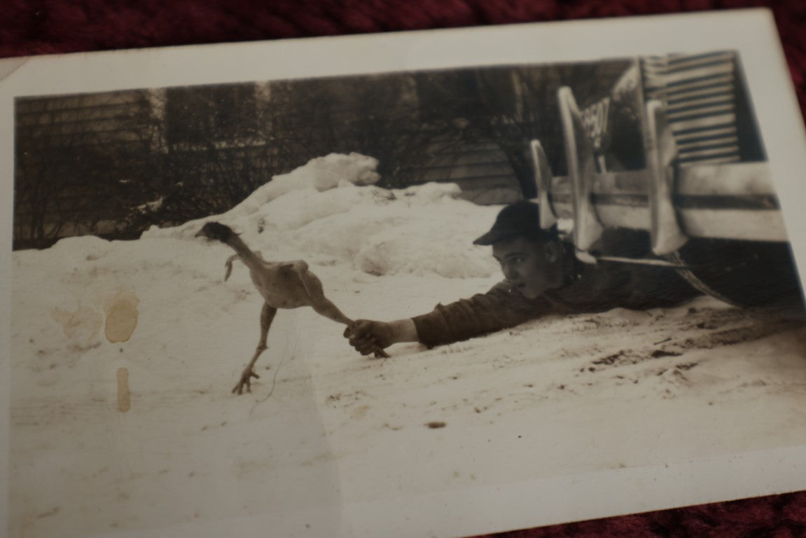 Lot 079 - Wacky Vintage Snap Shot Photo Of Kid Laying Behind Car, Catching A Featherless Chicken Running Away By The Leg, Dated February 1943