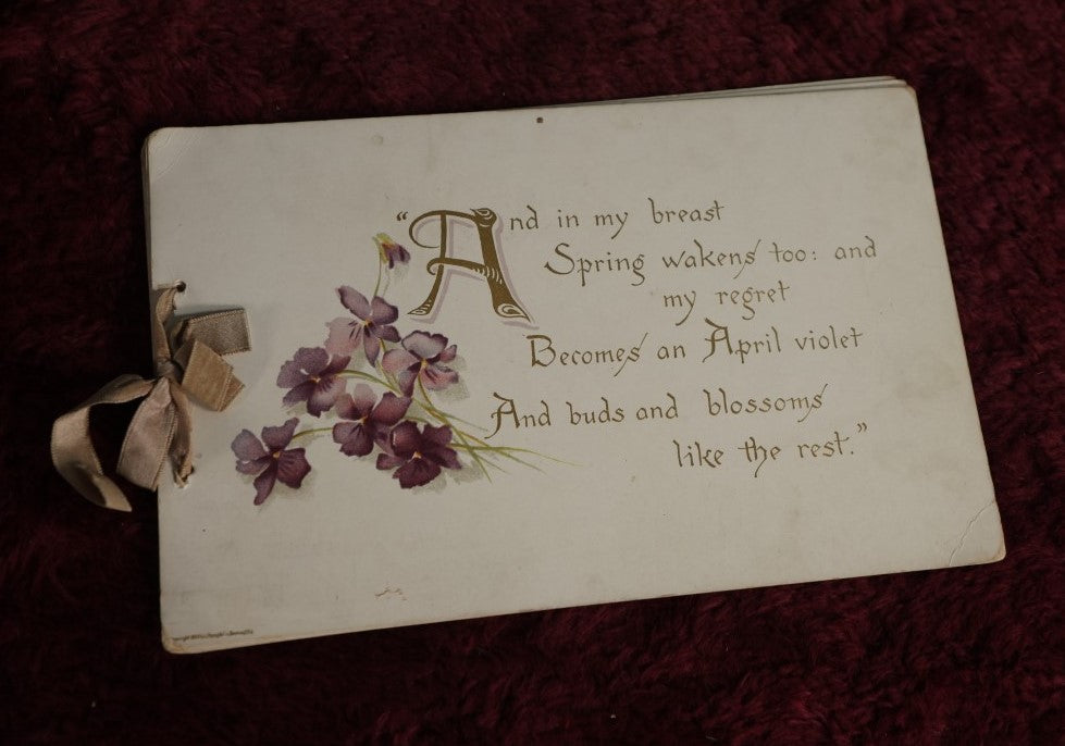 Lot 089 - Antique Artistic Poetry Book With Flowers And More, Copyright 1893 By L. Prang & Co., Boston