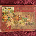 Lot 097 - Victorian Autograph Book For Bell White, Christmas 1888, Red And Gold, Birds On Cover