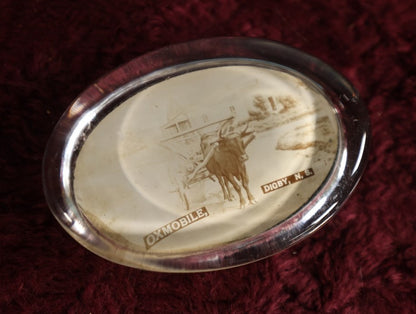 8/15/2024 AUCTION PHOTO GALLERY