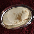 Lot 105 - Antique Glass Photo Paperweight, Oxmobile, Digby, N.S.