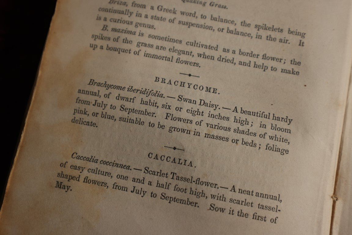 Lot 137 - The Flower Garden Or Breck's Book Of Flowers, By Joseph Breck, 1856 Book, All About Flowers, But No Illustrations