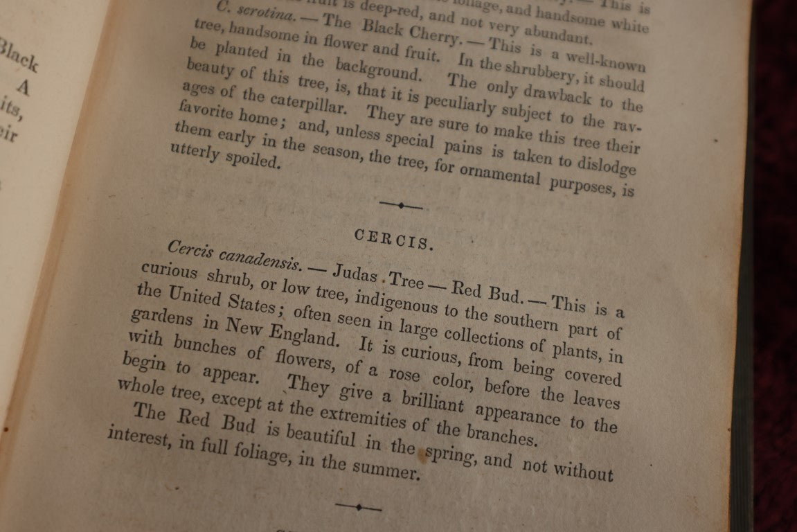 Lot 137 - The Flower Garden Or Breck's Book Of Flowers, By Joseph Breck, 1856 Book, All About Flowers, But No Illustrations