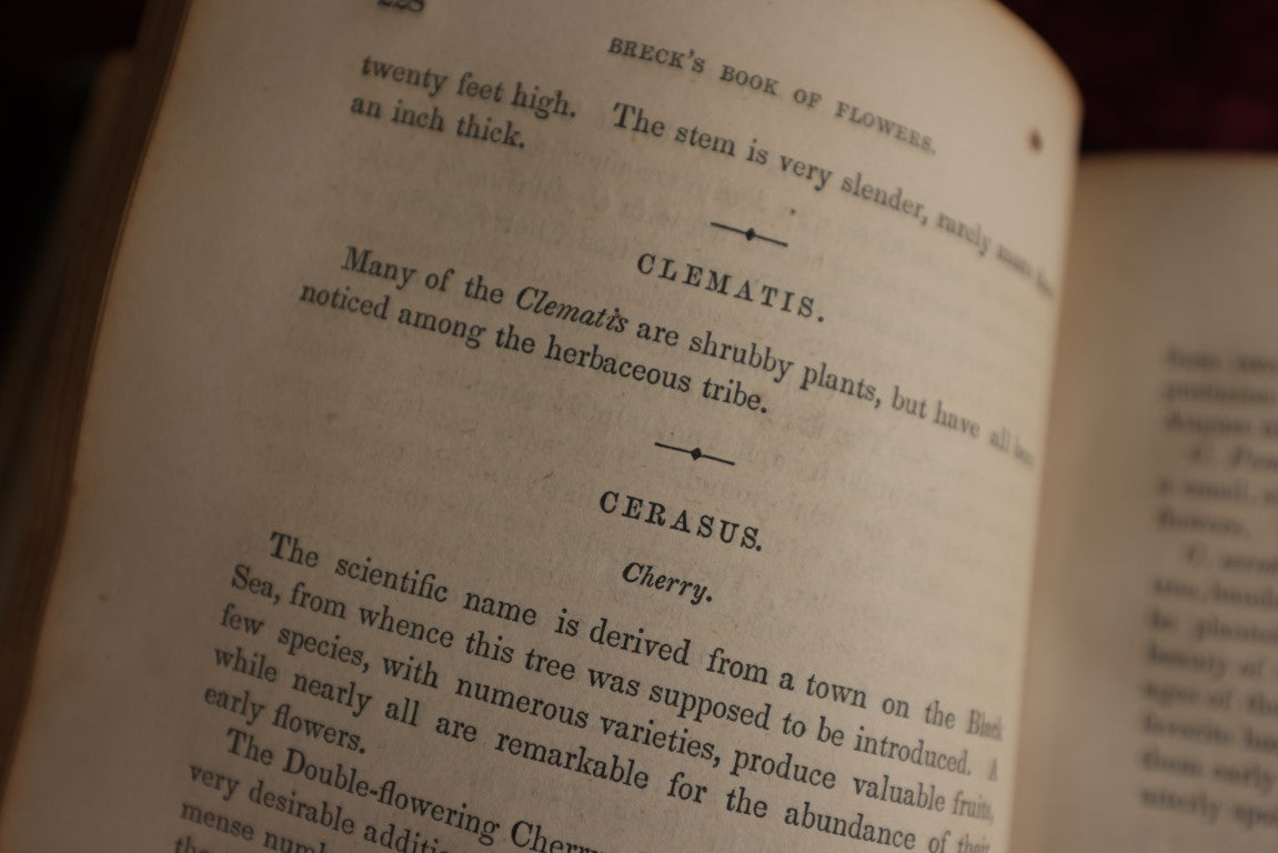 Lot 137 - The Flower Garden Or Breck's Book Of Flowers, By Joseph Breck, 1856 Book, All About Flowers, But No Illustrations