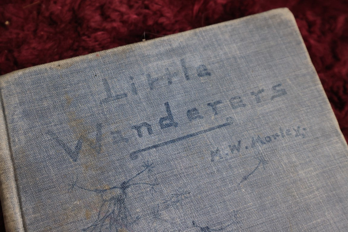 Lot 139 - Little Wanderers By Margaret Warner Morley, 1899 Book On Flower Propagation, Many Illustrations