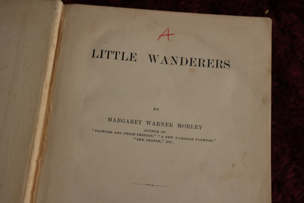 Lot 139 - Little Wanderers By Margaret Warner Morley, 1899 Book On Flower Propagation, Many Illustrations