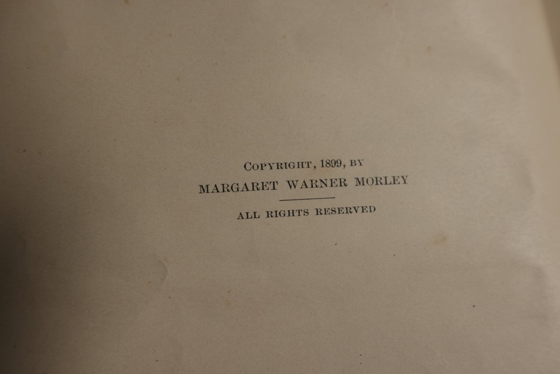 Lot 139 - Little Wanderers By Margaret Warner Morley, 1899 Book On Flower Propagation, Many Illustrations