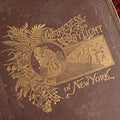 Lot 140 - Darkness And Daylight Or Lights And Shadows Of New York Life By Mrs. Helen Campbell - 1898 Book, Extremely Poor Condition, Many Interesting Illustrations