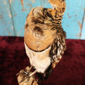 Lot 013 - Sand Grouse (Pteroclidae) Full Mount Taxidermy On Real Log Mount On Base