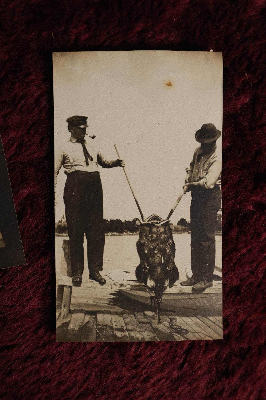 Lot 168 - Pair Of Antique Snapshots Of Men Catching Giant Fish