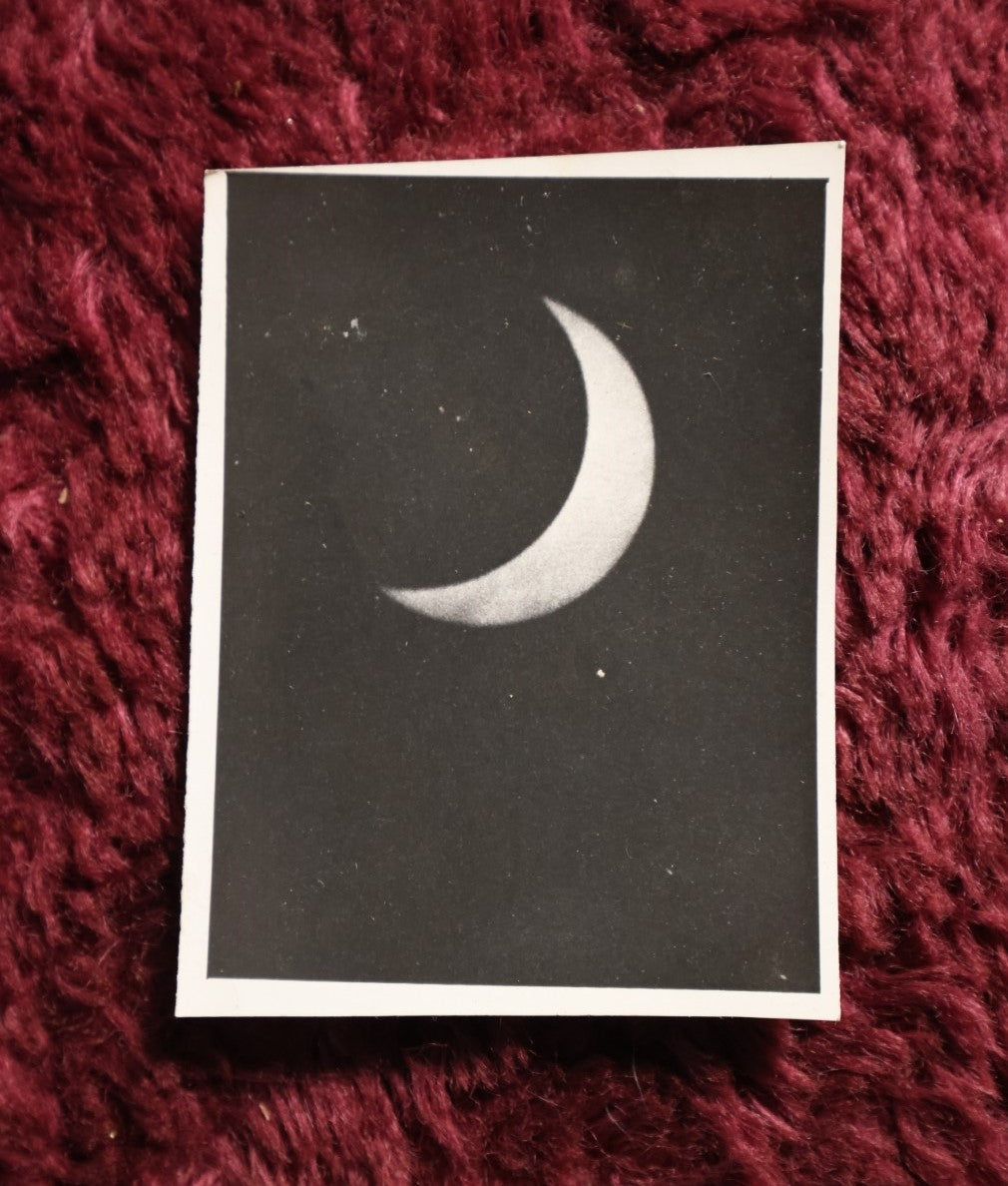 Lot 169 - Antique Solar Eclipse Snapshot Photo, Marked 8 On Back