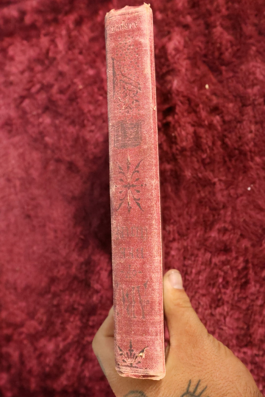 Lot 025 - A B C And X Y Z Of Bee Culture, Antique Book, 1877, By A.I. Root, All About The Care Of Honey Bees, Profusely Illustrated