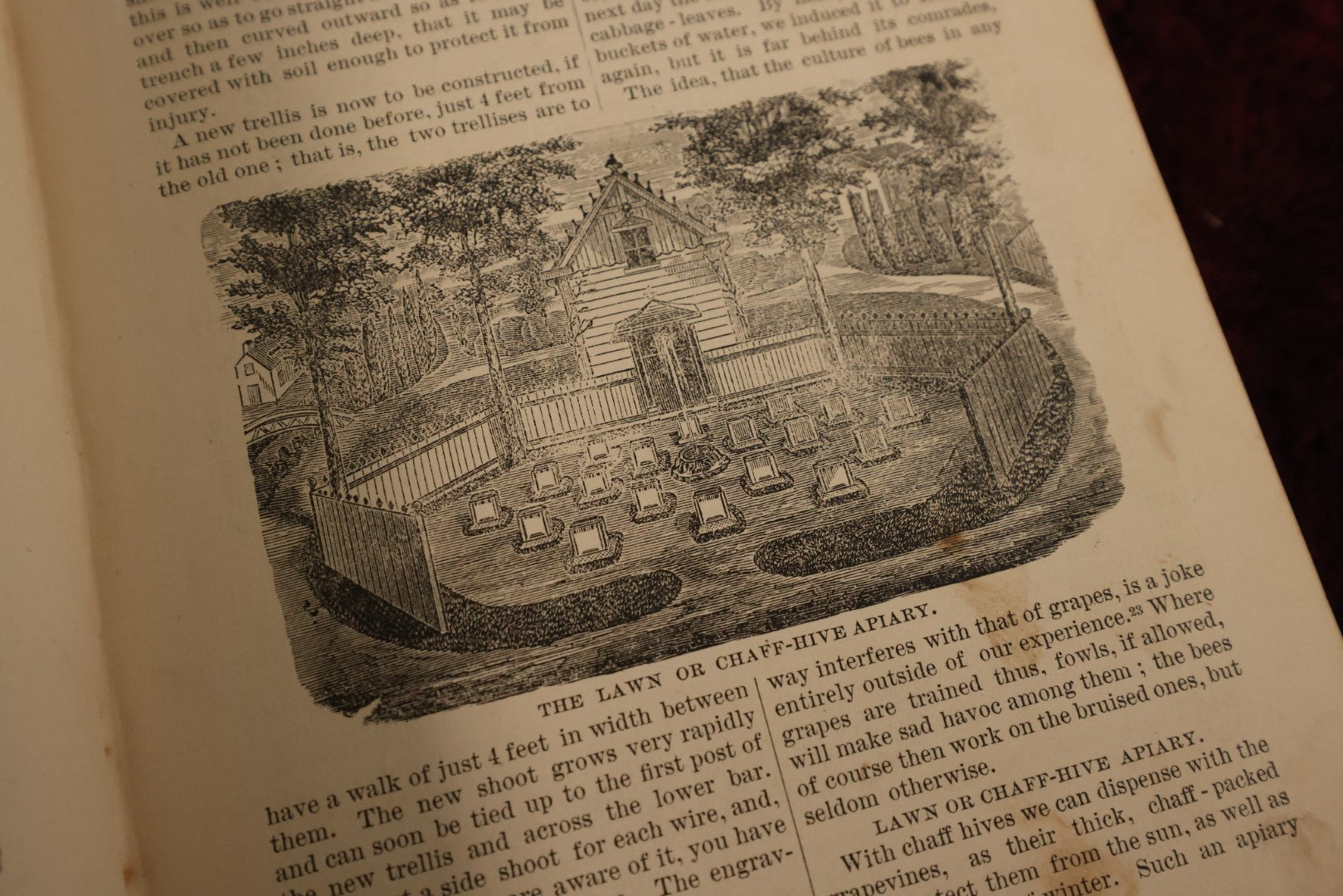 Lot 025 - A B C And X Y Z Of Bee Culture, Antique Book, 1877, By A.I. Root, All About The Care Of Honey Bees, Profusely Illustrated