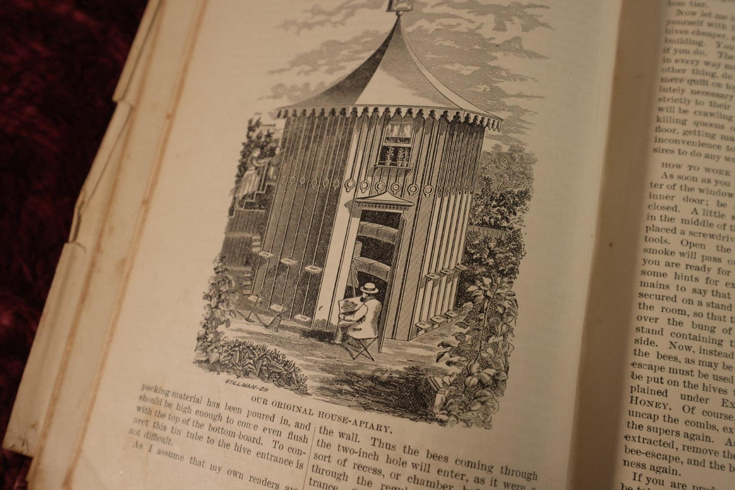 Lot 025 - A B C And X Y Z Of Bee Culture, Antique Book, 1877, By A.I. Root, All About The Care Of Honey Bees, Profusely Illustrated