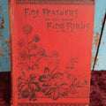 Lot 033 - Fine Feathers Do Not Make Fine Birds, By Kate J. Neily, The Proverb Series, Illustrated Novel / Story, Copyright 1868, Lee And Shepard, Boston