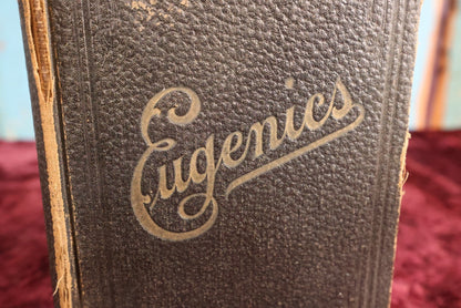 Lot 033 - Fine Feathers Do Not Make Fine Birds, By Kate J. Neily, The Proverb Series, Illustrated Novel / Story, Copyright 1868, Lee And Shepard, Boston