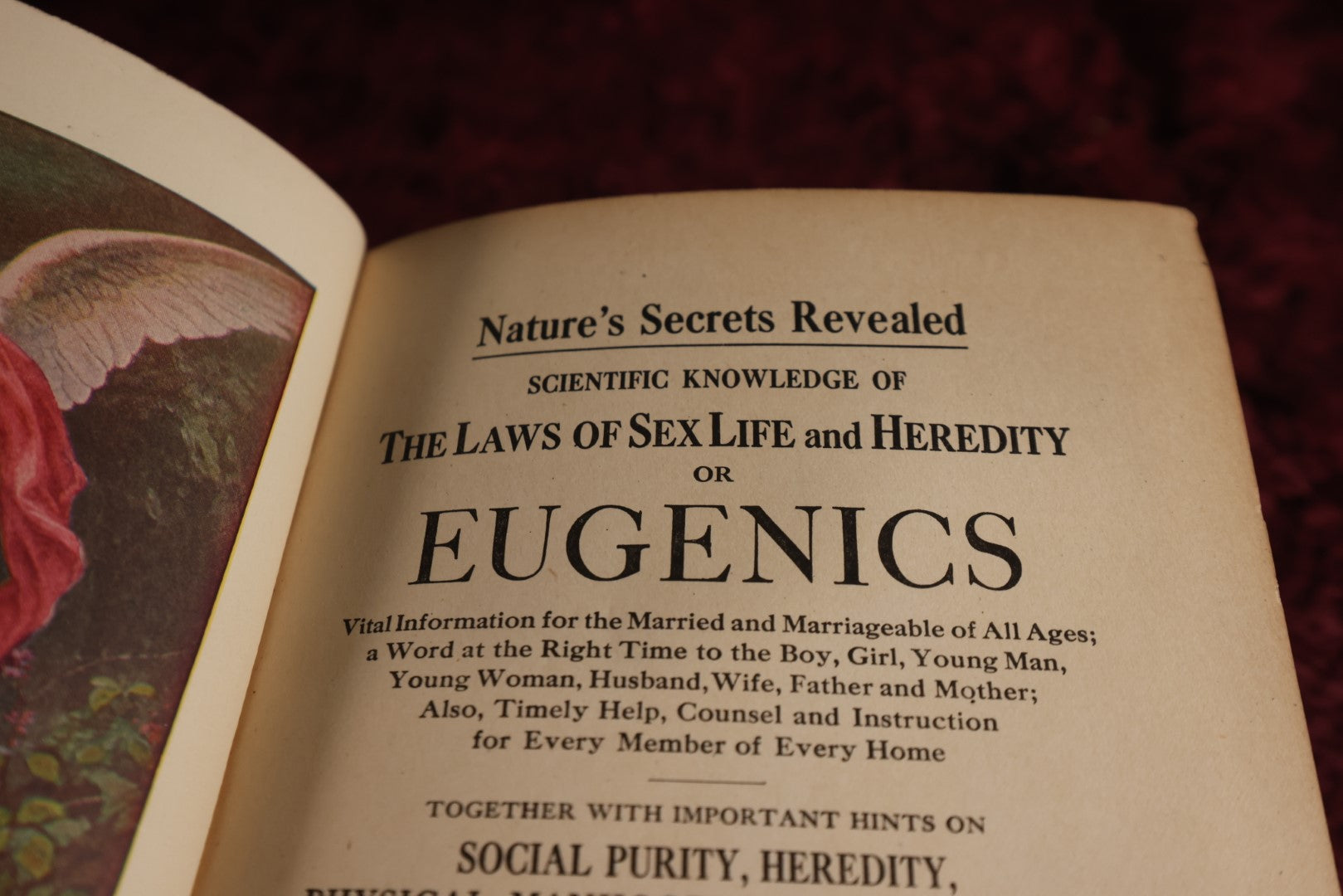 Lot 034 - The Laws Of Sex Life And Heredity Or; Eugenics, Copyright 1915, S.A. Mullkin Company, Profusely Illustrated, Outdated Pseudo-Science Book