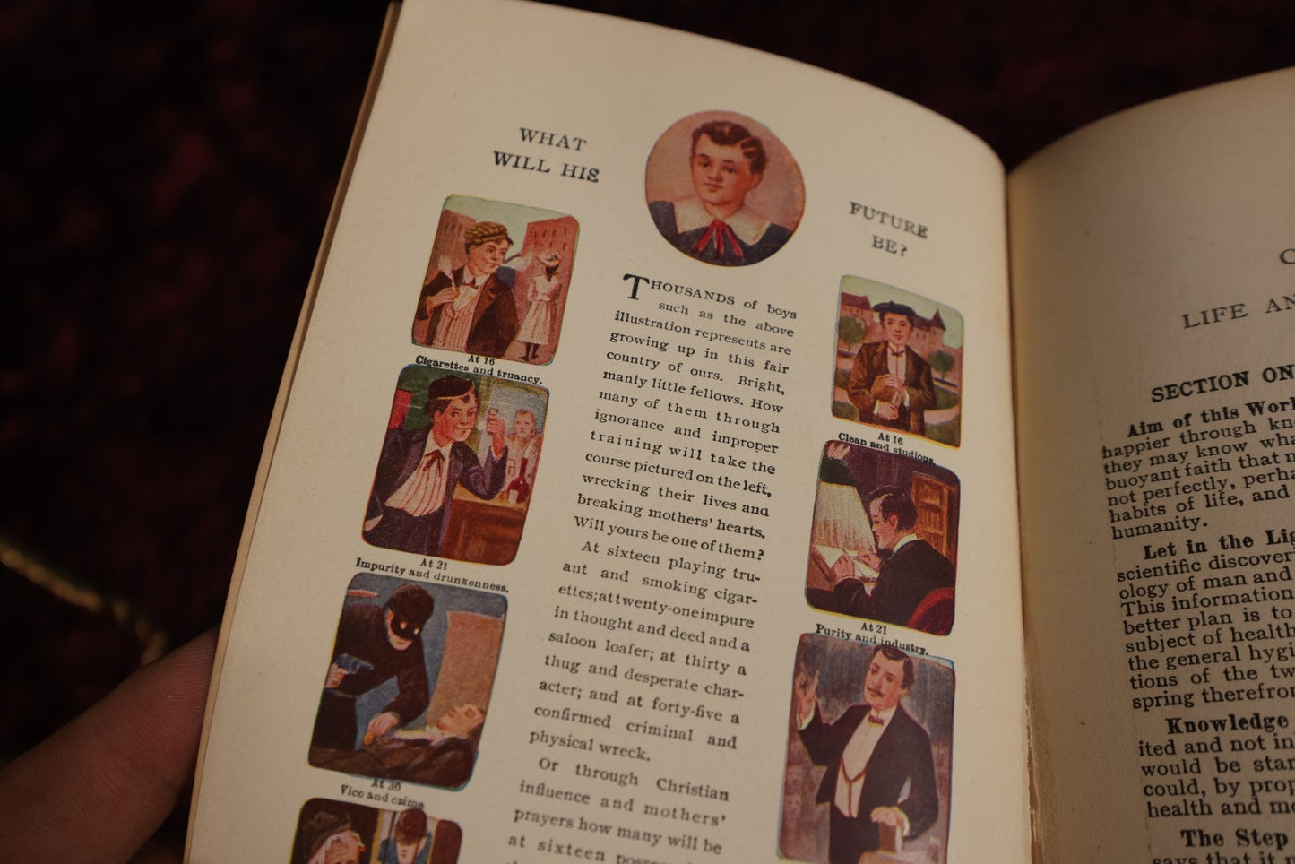 Lot 034 - The Laws Of Sex Life And Heredity Or; Eugenics, Copyright 1915, S.A. Mullkin Company, Profusely Illustrated, Outdated Pseudo-Science Book