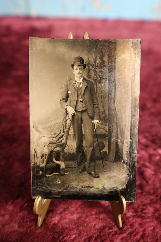 Lot 113 - Tintype - Young Man Wearing Bowler Cap, Leaning On Adirondack Branch Chair, Holding Swagger Stick Cane