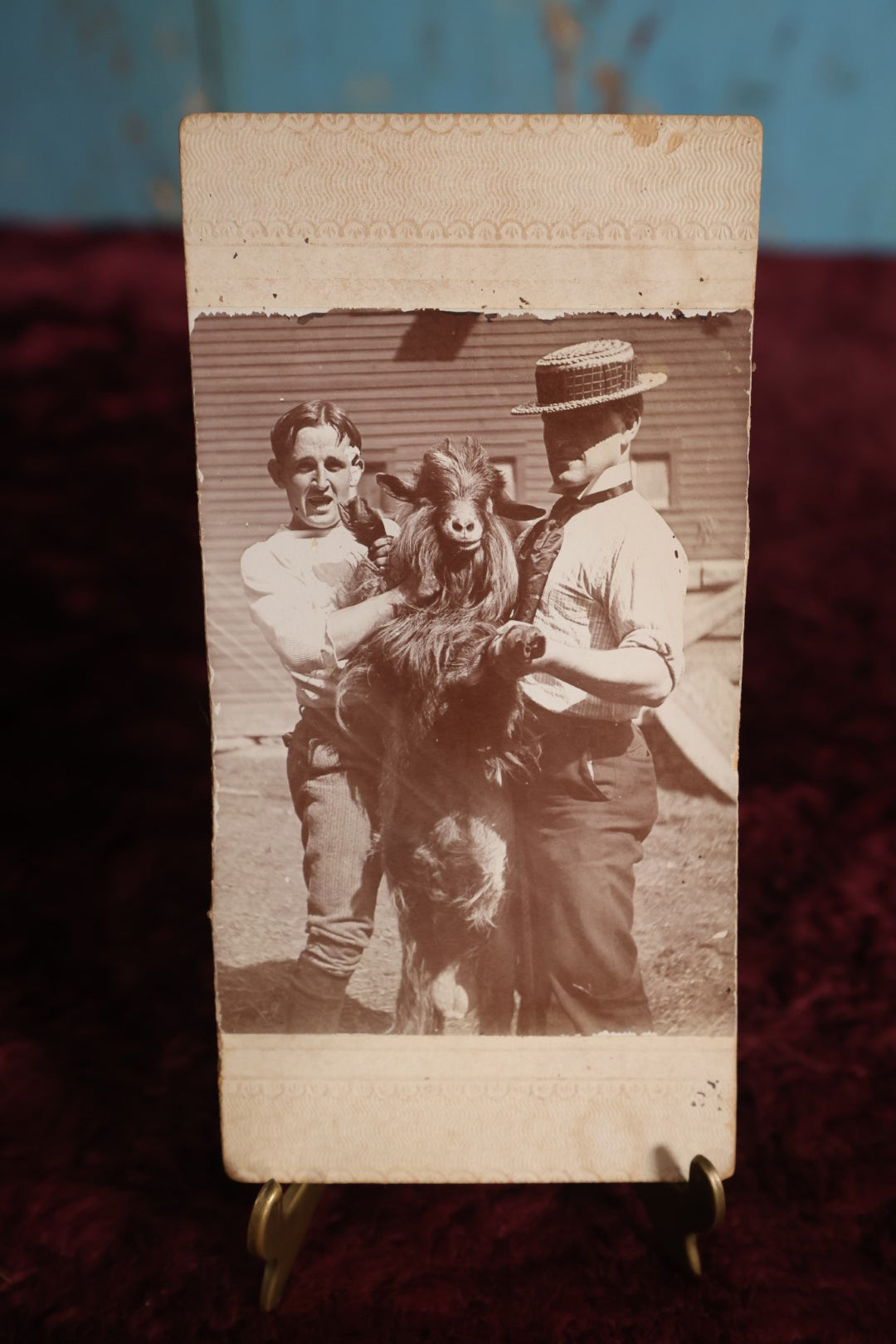 Lot 136 - Trimmed Small Boarded Photo - The A.K.K. Goat Owned By Dr. T.A. Bakemen, Two Men Holding Goat, Comical Photo