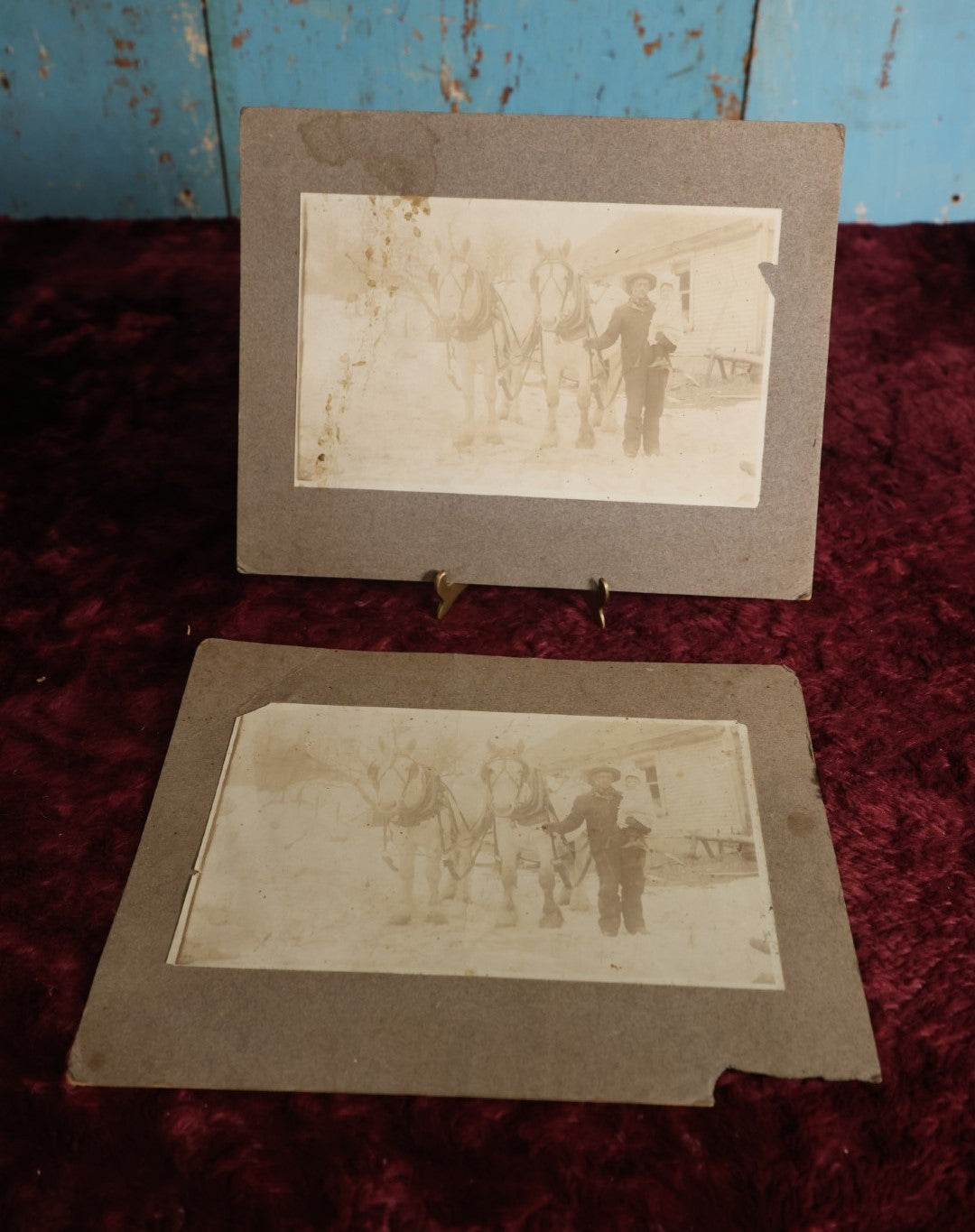 Lot 153 - Pair Of Duplicate Mounted Photos - Man With Two White Horses, Holding Child, Outdoor Photo