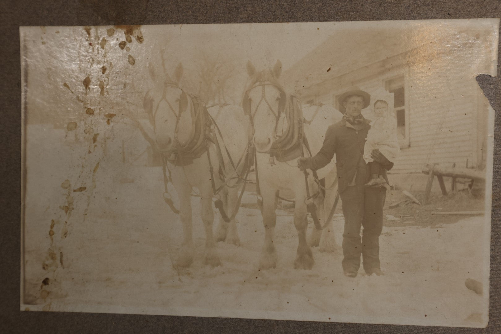 Lot 153 - Pair Of Duplicate Mounted Photos - Man With Two White Horses, Holding Child, Outdoor Photo