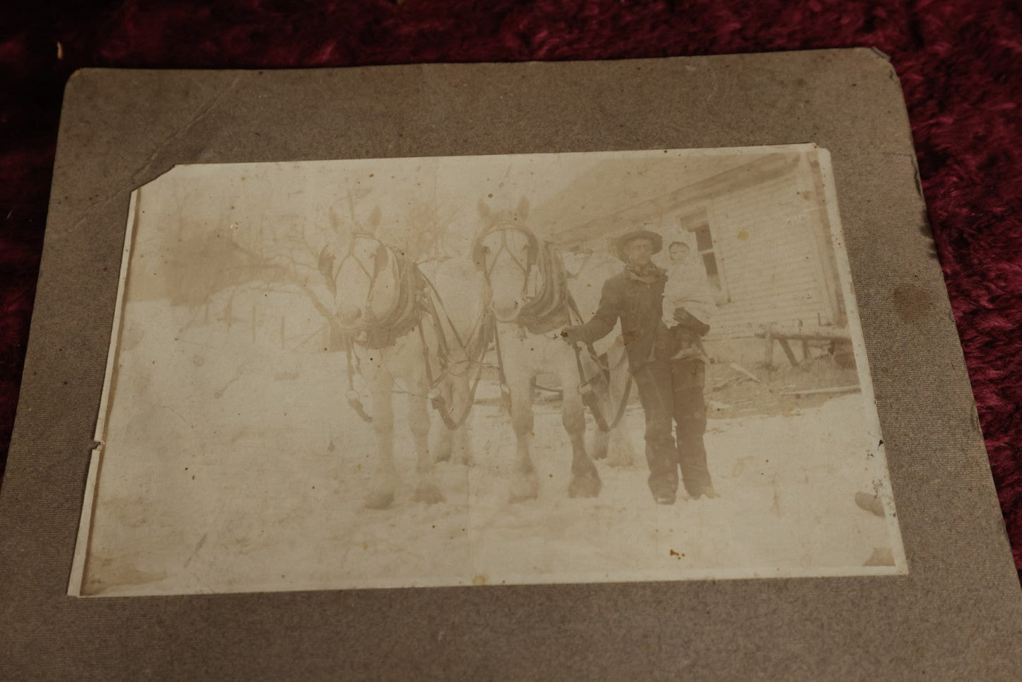 Lot 153 - Pair Of Duplicate Mounted Photos - Man With Two White Horses, Holding Child, Outdoor Photo