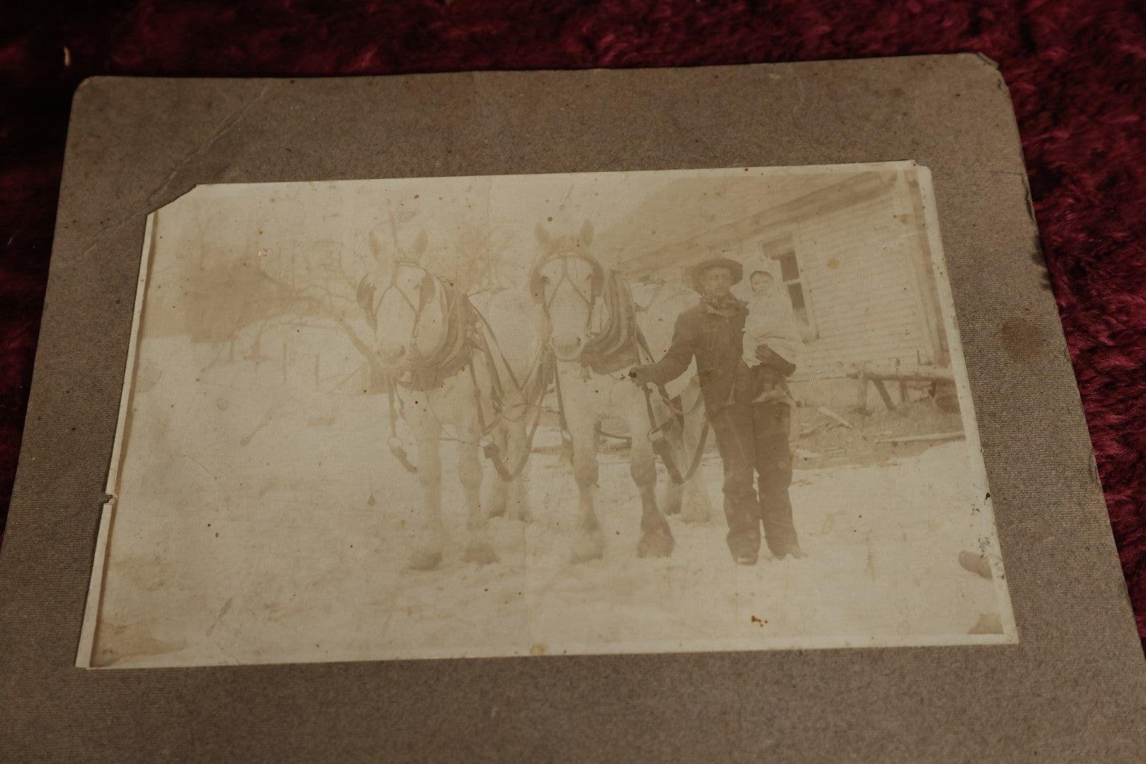 Lot 153 - Pair Of Duplicate Mounted Photos - Man With Two White Horses, Holding Child, Outdoor Photo