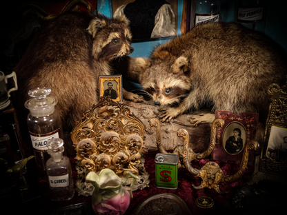 8/29/2024 AUCTION PHOTO GALLERY