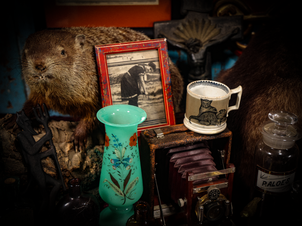 8/29/2024 AUCTION PHOTO GALLERY