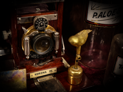 8/29/2024 AUCTION PHOTO GALLERY