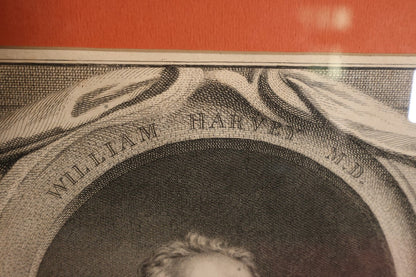 8/29/2024 AUCTION PHOTO GALLERY