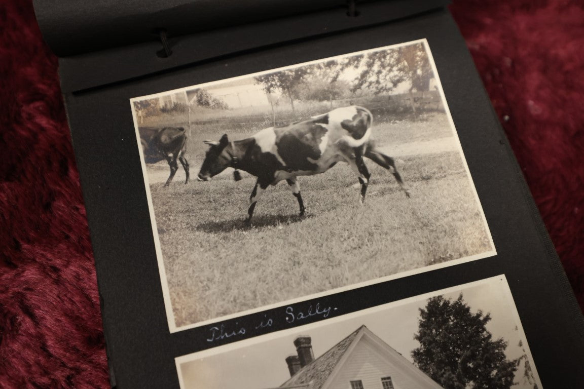 8/29/2024 AUCTION PHOTO GALLERY