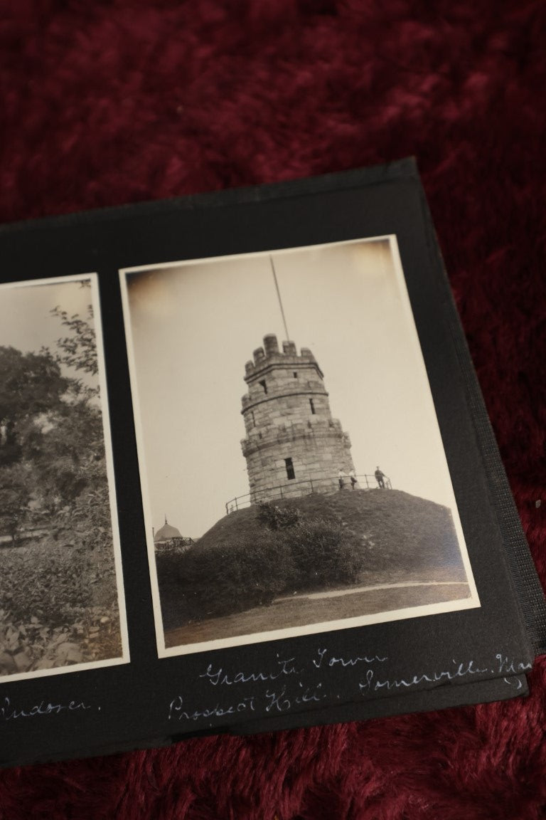 8/29/2024 AUCTION PHOTO GALLERY