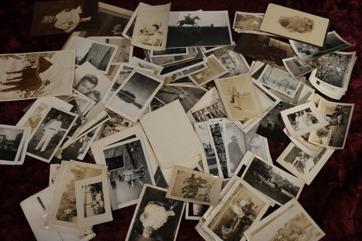 8/29/2024 AUCTION PHOTO GALLERY