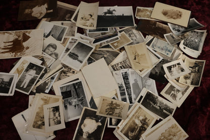 8/29/2024 AUCTION PHOTO GALLERY