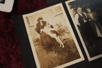 8/29/2024 AUCTION PHOTO GALLERY