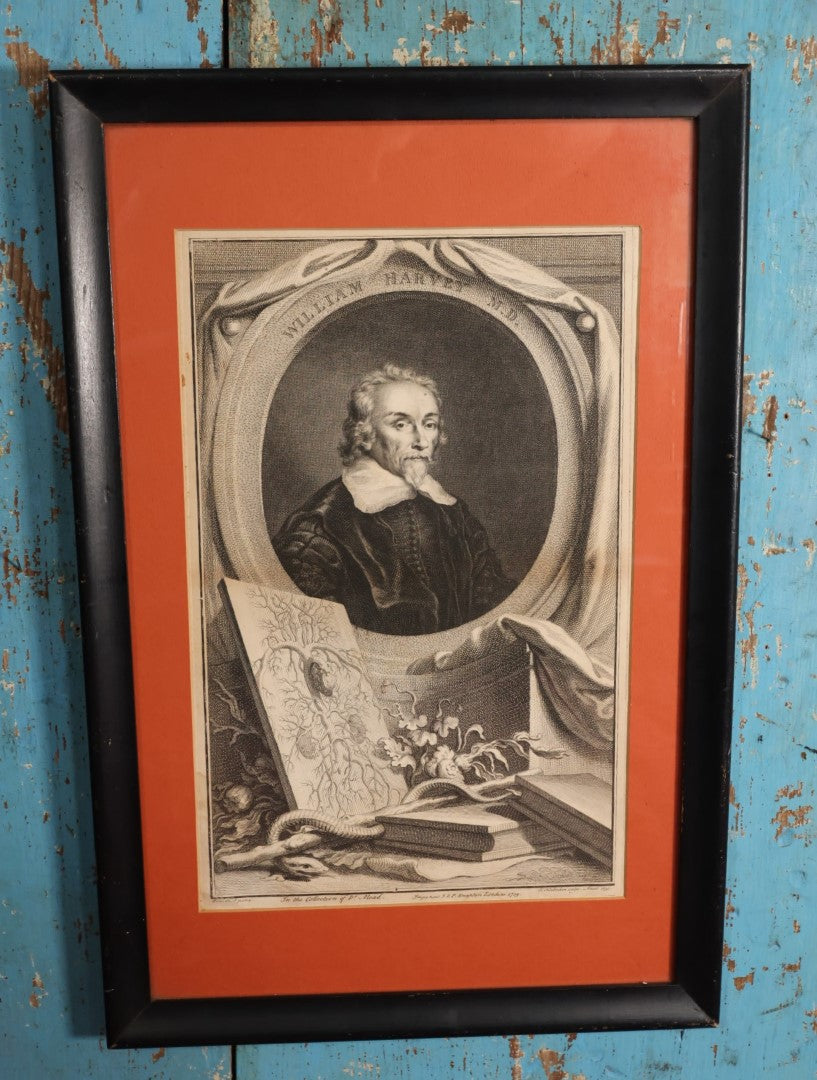 Lot 006 - Antique 18th Century Engraving of Dr. William Harvey, English Physician Who Discovered Circulation of Blood, Depicted With Anatomy, Snake, Printed In London, 1739, Modern Framing