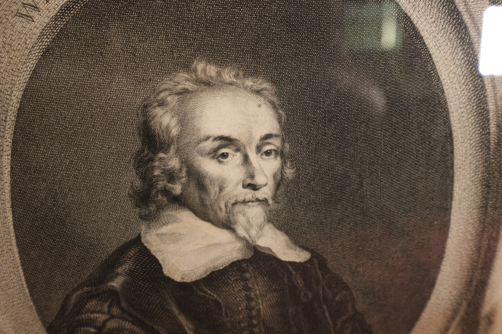 Lot 006 - Antique 18th Century Engraving of Dr. William Harvey, English Physician Who Discovered Circulation of Blood, Depicted With Anatomy, Snake, Printed In London, 1739, Modern Framing