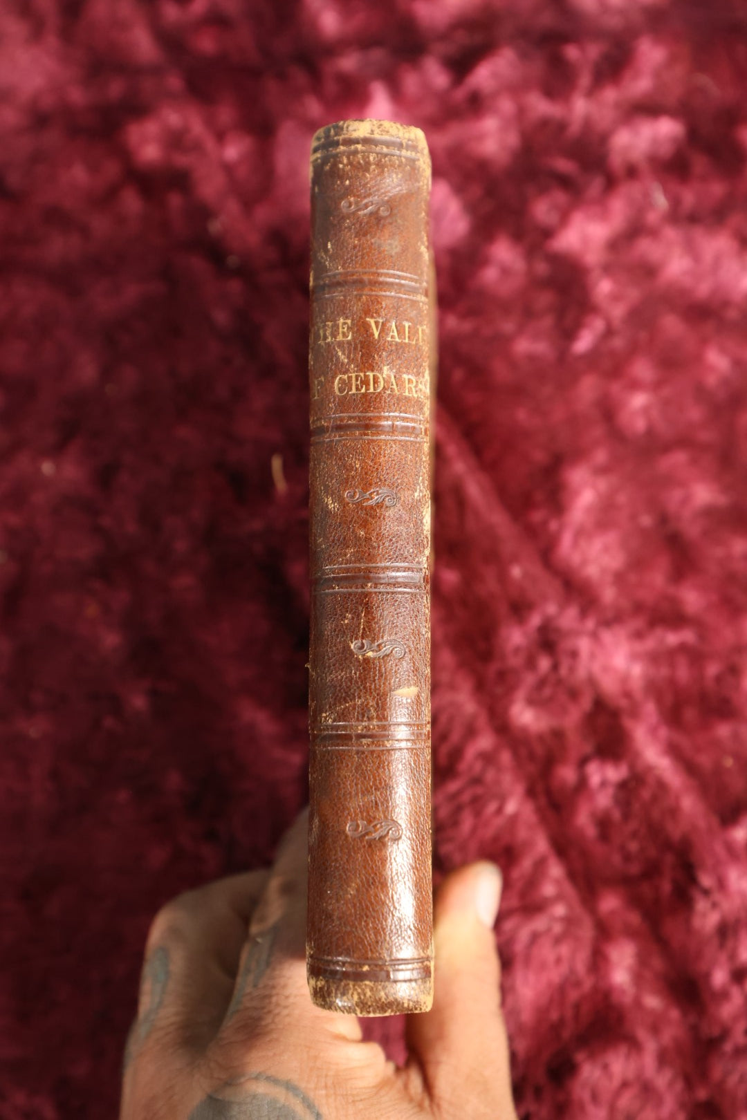 Lot 167 - Book - "The Vale of Cedars; Or, The Martyr" By Grace Aguilar, Writer Known For Covering Jewish History And Struggle, 19th Century