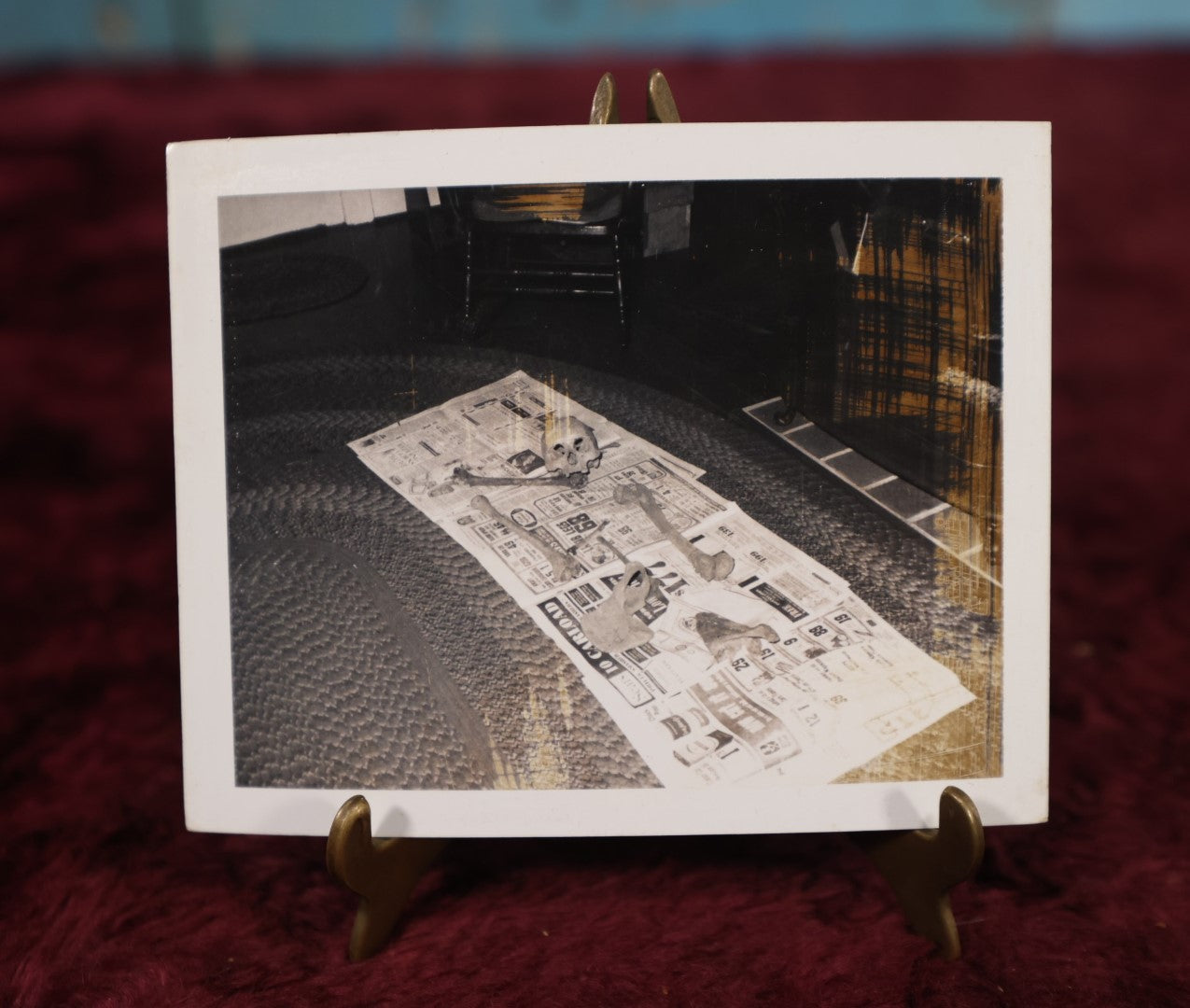 Lot 016 - Unusual 20th Century Black And White Snapshot Photo of Human Remains, Skeleton, Skull, Bones Laid Out On Newspaper In Front of A Fireplace