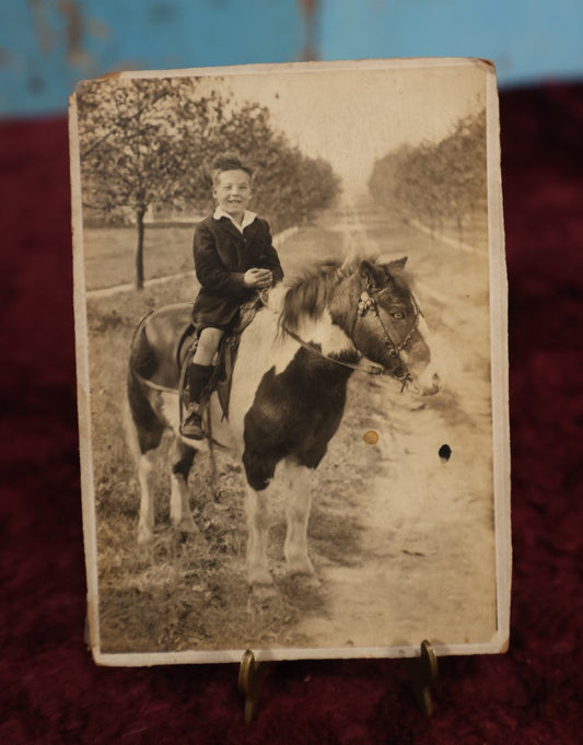 Lot 176 - Single Photo - Cabinet Card of Young Boy On Pony, Miniature Horse, Boy Has Windswept Hair