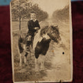 Lot 176 - Single Photo - Cabinet Card of Young Boy On Pony, Miniature Horse, Boy Has Windswept Hair