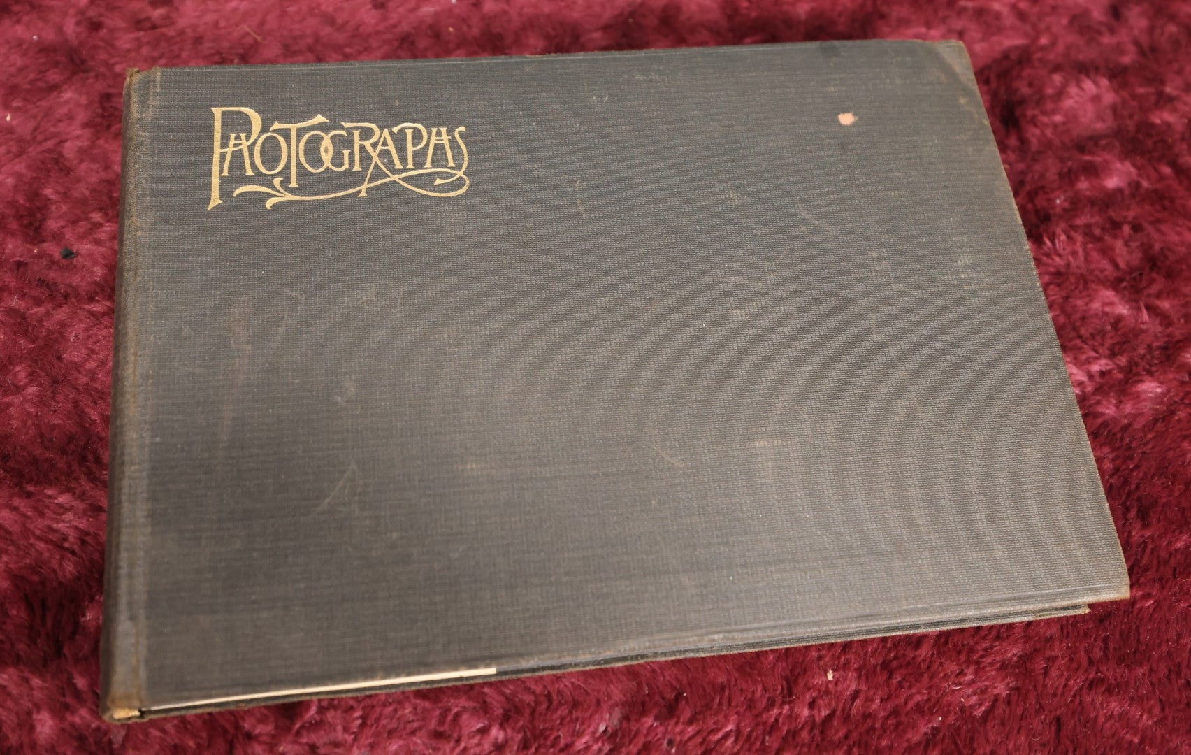 Lot 115 - Early 20th Century Family Snapshot Photo Album Featuring Children On Christmas, Gatherings, Ostriches