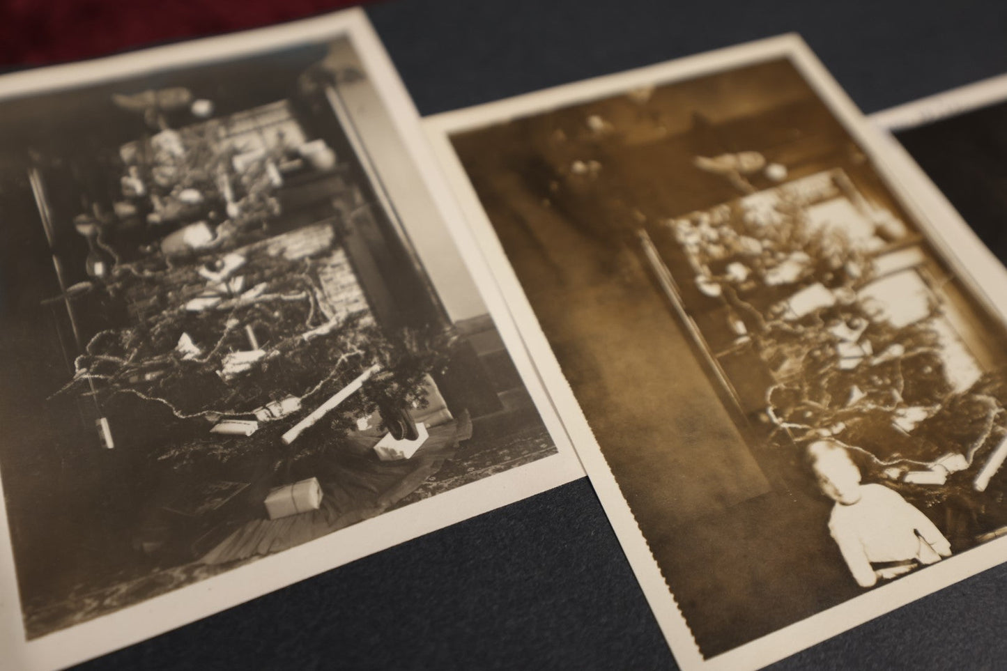 Lot 115 - Early 20th Century Family Snapshot Photo Album Featuring Children On Christmas, Gatherings, Ostriches